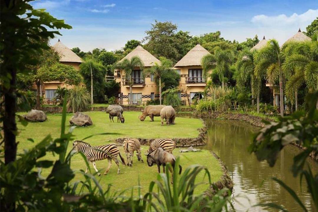 Bali-Safari-1.jpg