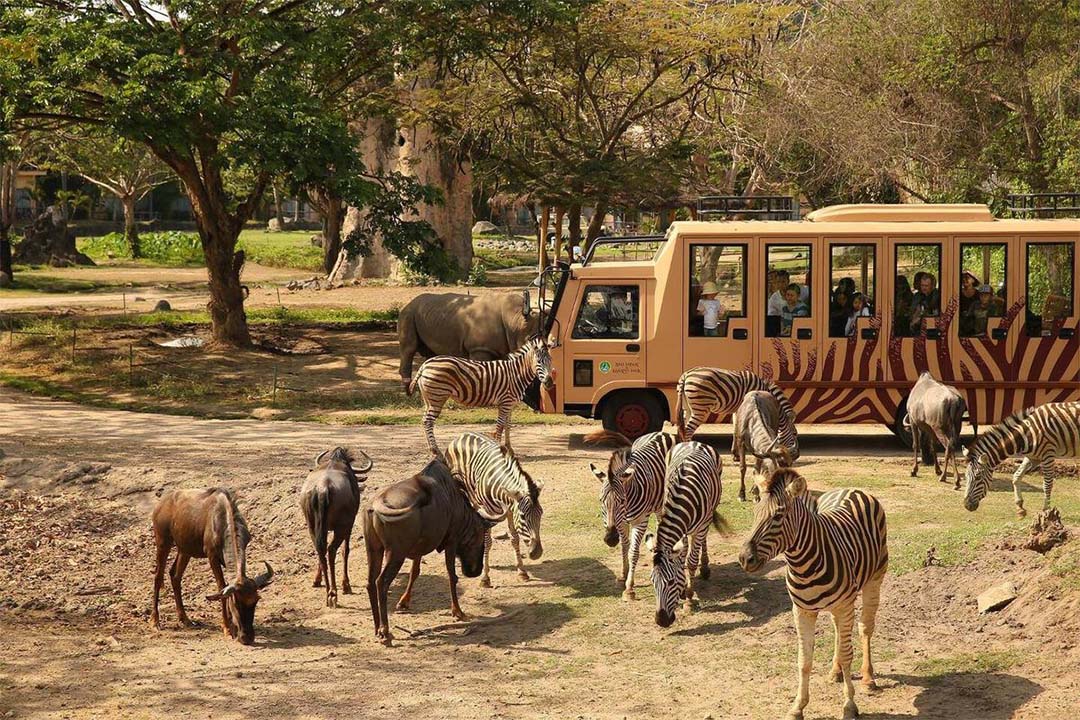Bali-Safari-3.jpg