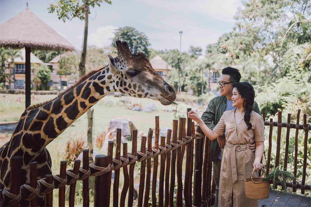 Bali-Safari-4.jpg