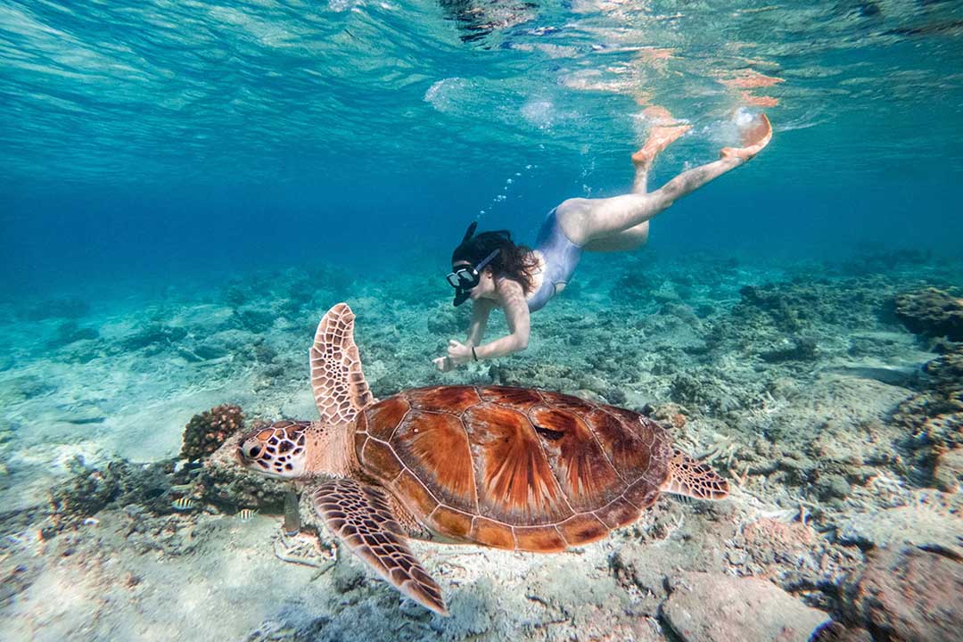 Gili-Trawangan-Snorkling-spot-4.jpg