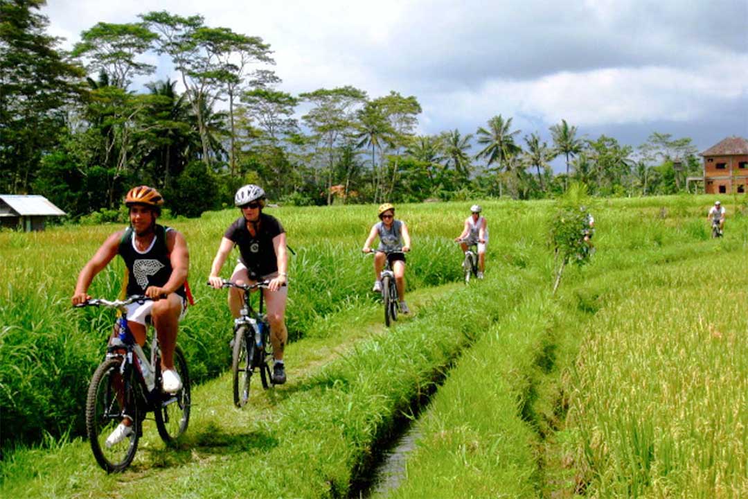 Kintamani-Downhill-Cycling-4.jpg