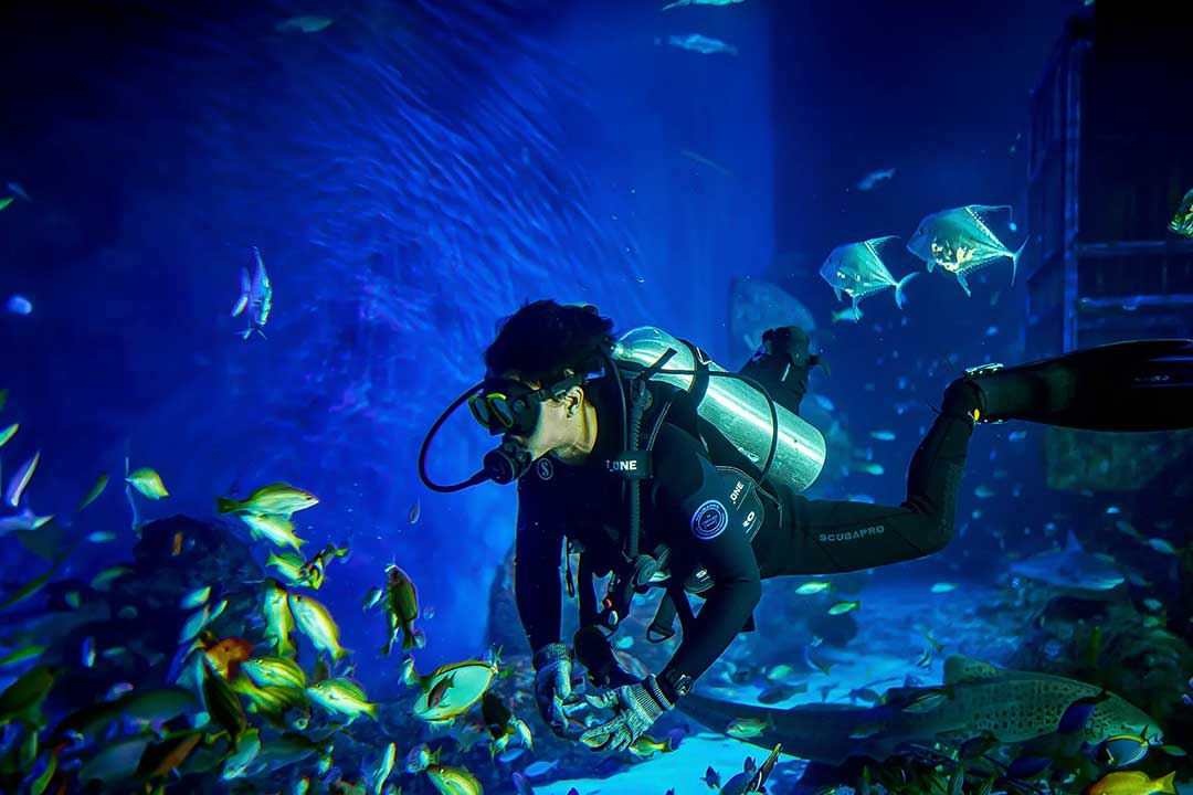 Marine-park-4.jpg