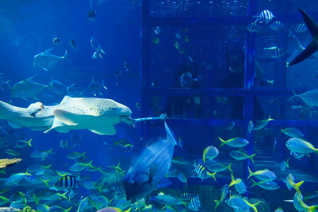 Marine-park-5.jpg