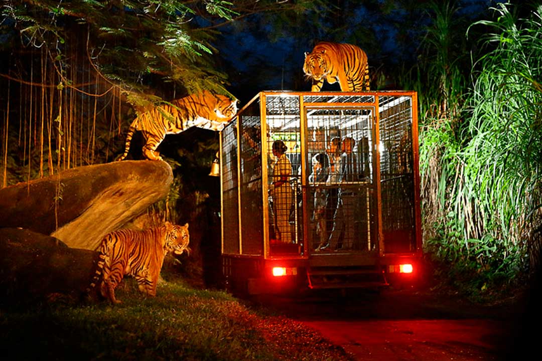Night-Safari-Bali.jpg