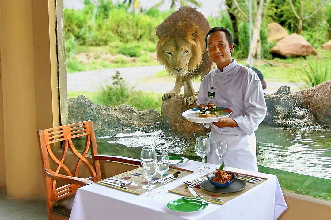 berakfast-with-lion-1.jpg