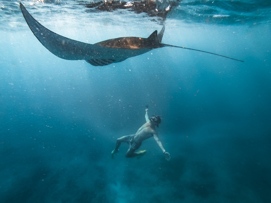 Snorkling West Penida