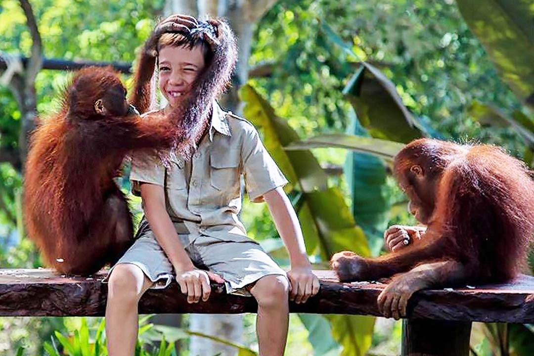 w-orang-utan.jpg